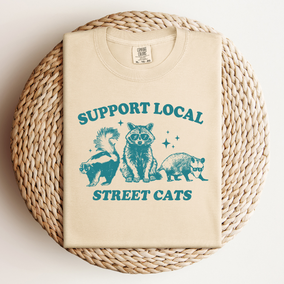SUPPORT LOCAL STREET CATS